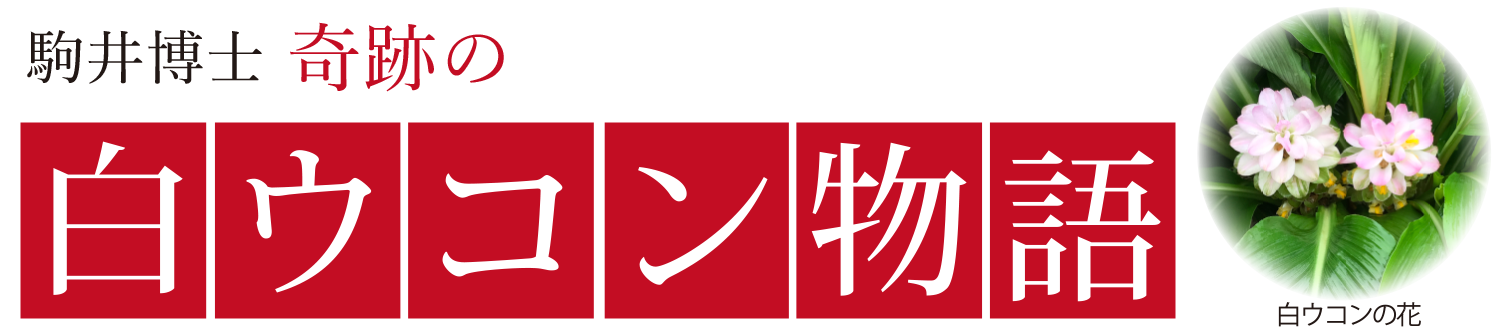 白ウコン物語